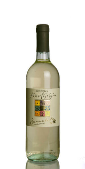 Sansaluto Pinot Grigio Oltrepò Pavese DOC 2019-F
