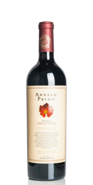 Cantine Paradiso Angelo-Primo Nero di Troia IGP 2018 F