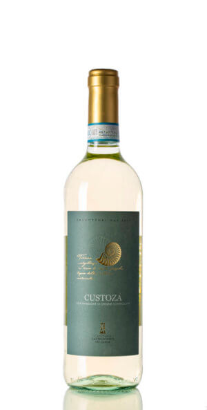 Cantina Castelnuovo Custoza DOC 2021-F
